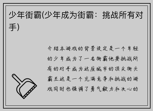 少年街霸(少年成为街霸：挑战所有对手)